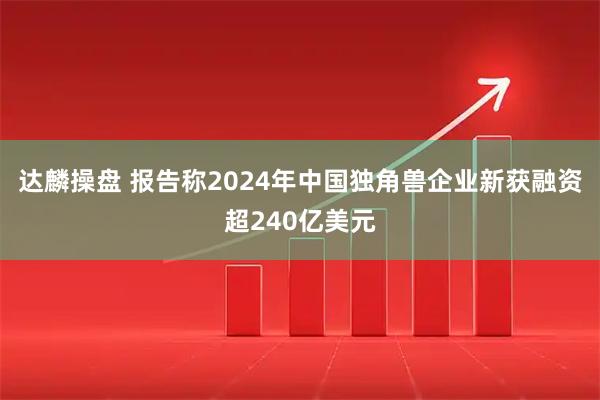 达麟操盘 报告称2024年中国独角兽企业新获融资超240亿美元