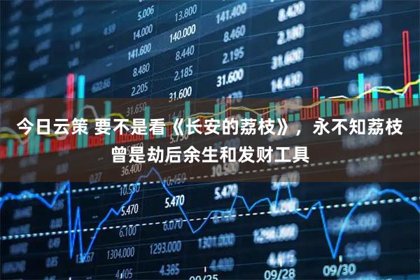 今日云策 要不是看《长安的荔枝》，永不知荔枝曾是劫后余生和发财工具