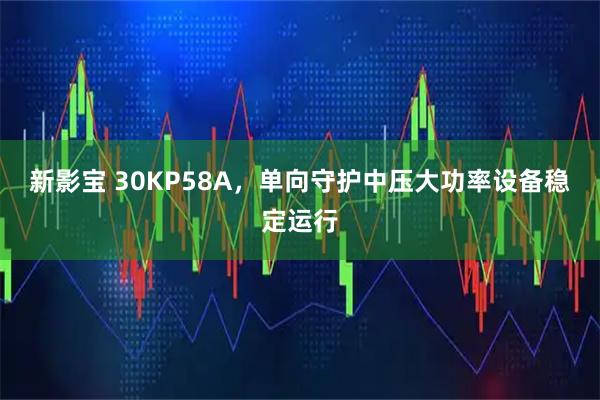 新影宝 30KP58A，单向守护中压大功率设备稳定运行
