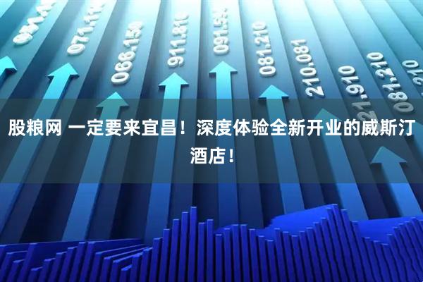 股粮网 一定要来宜昌！深度体验全新开业的威斯汀酒店！