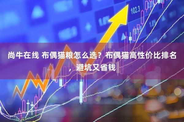 尚牛在线 布偶猫粮怎么选？布偶猫高性价比排名，避坑又省钱