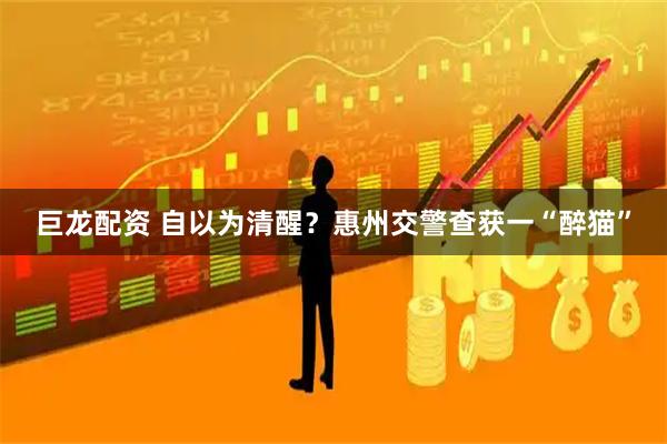 巨龙配资 自以为清醒？惠州交警查获一“醉猫”